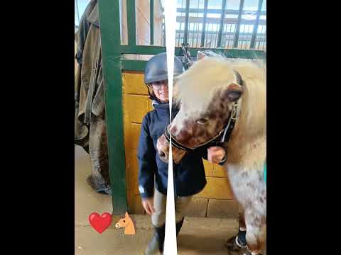 Love❤️🐴🐎 #cavalli #horse