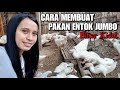 Cara membuat campuran pakan entok jumbo blitar  mentok semok 1