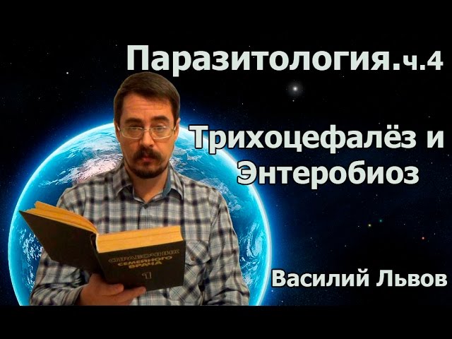 Паразитология. ч.4. Трихоцефалёз и Энтеробиоз