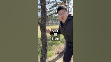 [Real life Chinese 10] Touch some grass, Learn Chinese with Bob