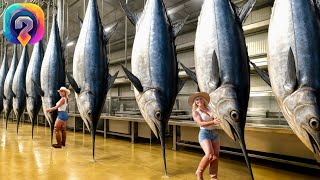 картинка: Как МИЛЛИОНЫ меч-рыб  ловят и перерабатывают — удивительный процесс в гигантских  фабриках!