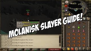 Old School RuneScape - Molanisk Slayer Guide