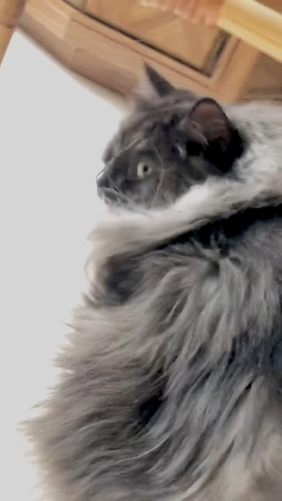 Creeping on Gump again…