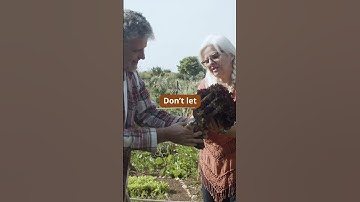 How to Find Purpose After Retirement #love #resilient #redditstories #lovesong #motivation #family