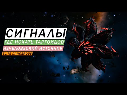 Видео: Твиттер запрещает игроку Elite Dangerous писать стихотворение об убийстве таргоидов