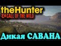 САВАНА новый биом - TheHunter Call of the Wild
