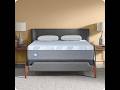 Review: Sealy Dreamlife Mattress | Is It Worth It? (2026)