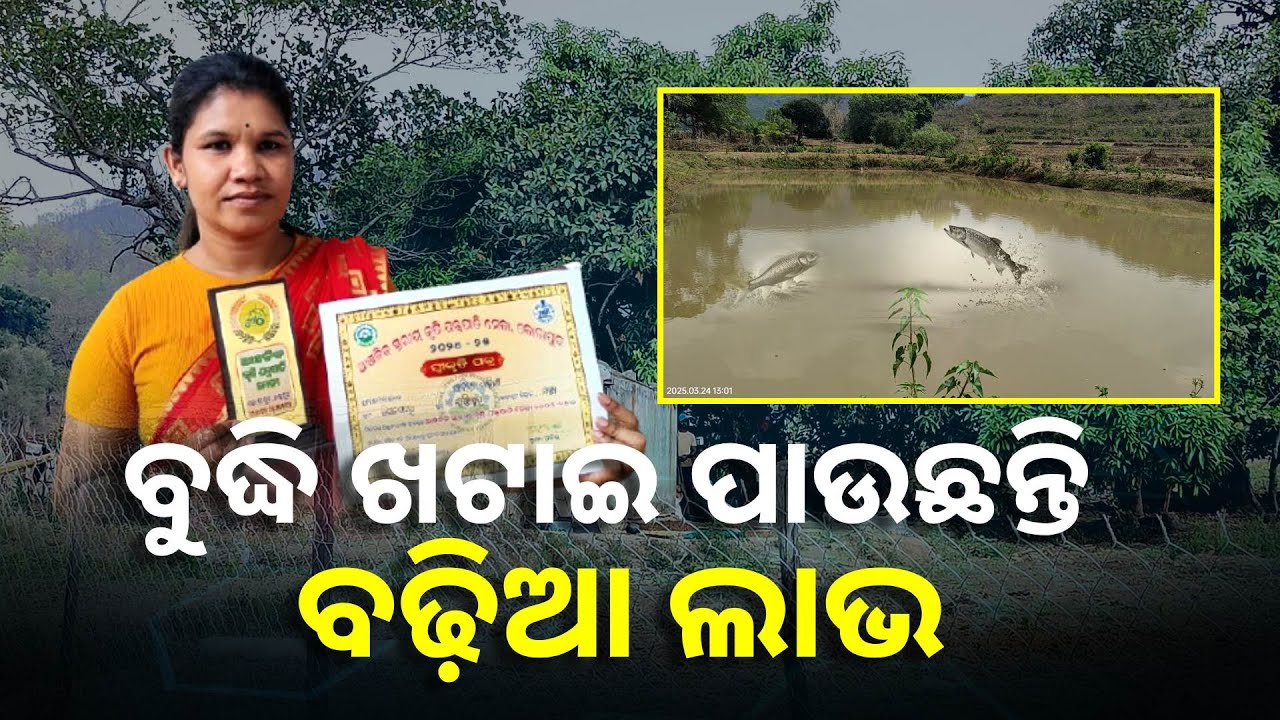 ଅନ୍ୟ ଆଗରେ ହାତ ନପତେଇ ନିଜ ଖର୍ଚ୍ଚ ତୁଲାଉଛନ୍ତି ସାବିତ୍ରୀ,  ମତ୍ସ୍ୟଚାଷ କରି ହୋଇଛନ୍ତି ସ୍ୱାବଲମ୍ବୀ ||