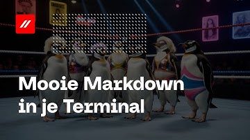 Mooie Markdown in je Terminal