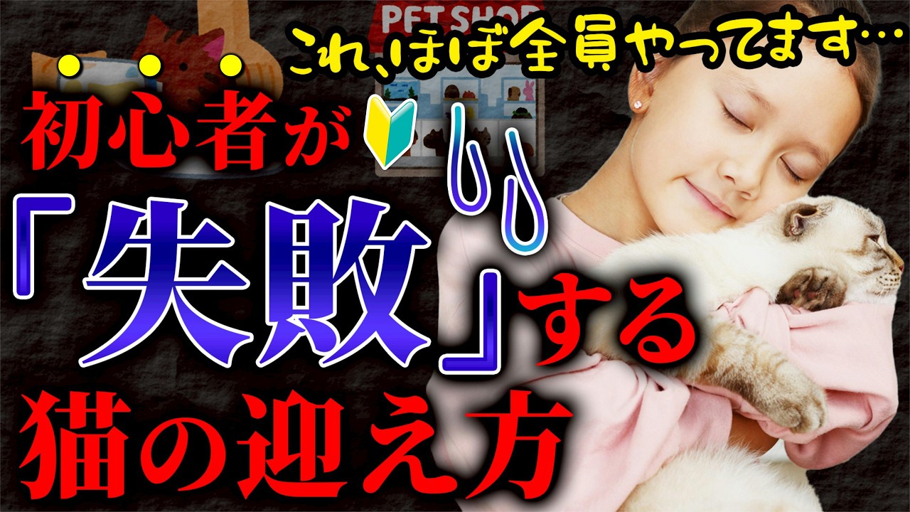 【初心者必見！】初めて猫を飼うならどこがオススメ？猫プロがメリットデメリットを徹底解説します