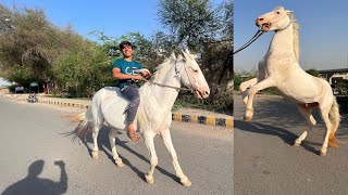Apna Horse Pa Pahli Dafa Ride Ki 😍