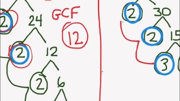 Module 2 Lesson 18 (Part 2) Mr. Shankel