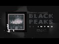 Black Peaks - Intro (Live at The Brighton Centre)