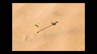 16 سورة النحل | القارئ عبدالرحمن الماجد