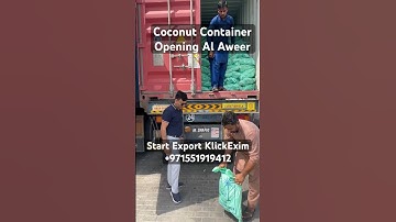 Watch Container Opening Export Coconut Container In Al Aweer Dubai Export