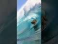 golden retriever Catching a wave Part 3 #comedy #dog