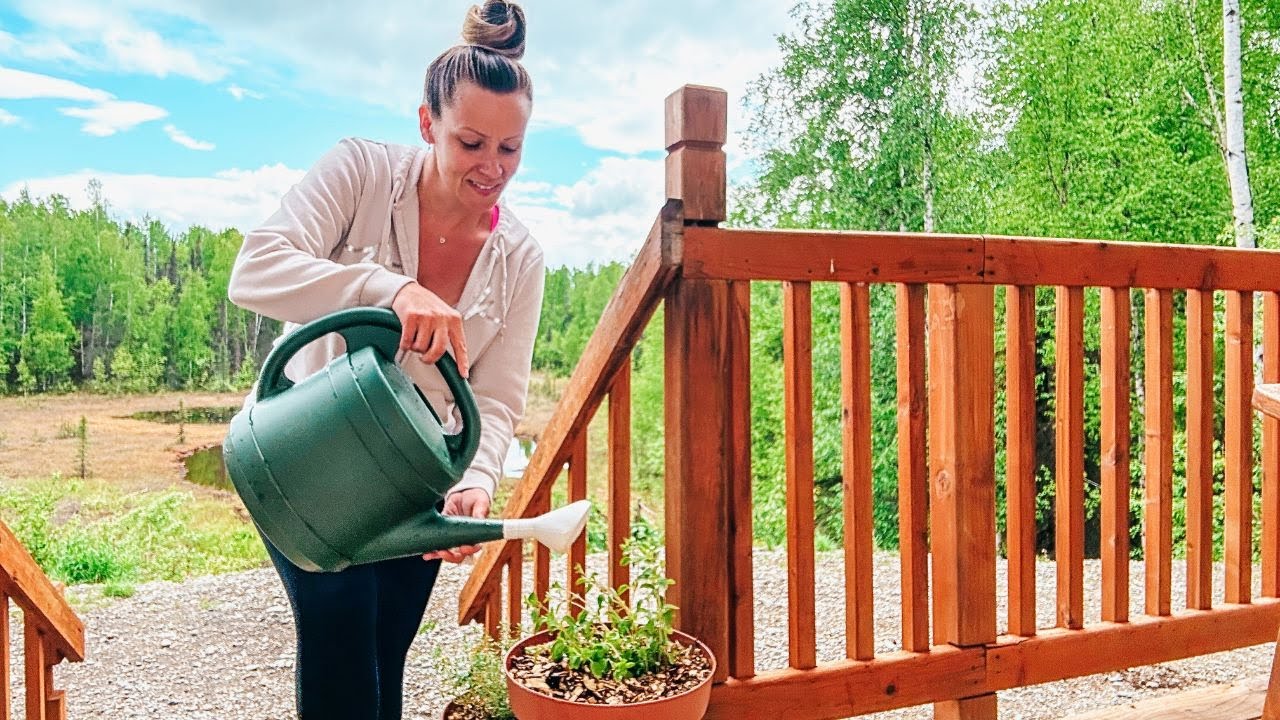 VLOG That Didn't Go as Planned...Rainy Day Alaskan Summer! | A Whole ...