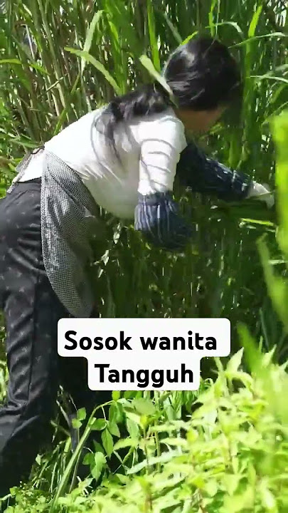 #ispirasi #wanitatangguh #wanitacantik #kaumhawa