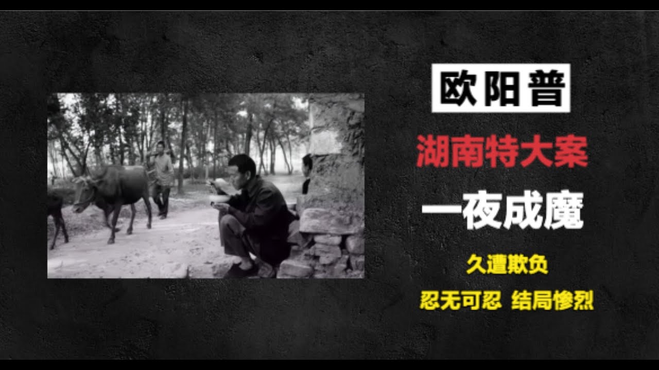 湖南特大袭击案-欧阳普