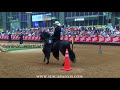 Campeonato Caballos de Paso Fino Colombiano, Expointernacional Equina Feria de Flores 2018