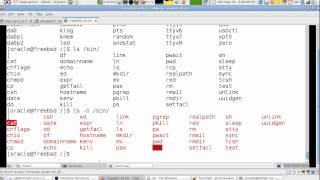 Lesson 6 FreeBSD Unix: Directory Structure (English Version)