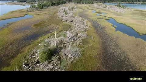 A Forest Change Detection Using Auto Regressive Model-based Kernel Fuzzy Clustering: Advanced Study