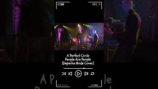 A Perfect Circle - People Are People