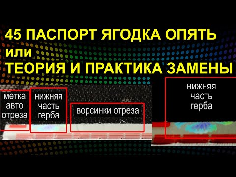 45 ПАСПОРТ ЯГОДКА ОПЯТЬ или ТЕОРИЯ И ПРАКТИКА ЗАМЕНЫ 2021.05.20 Сургут