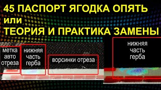 45 ПАСПОРТ ЯГОДКА ОПЯТЬ или ТЕОРИЯ И ПРАКТИКА ЗАМЕНЫ 2021.05.20 Сургут