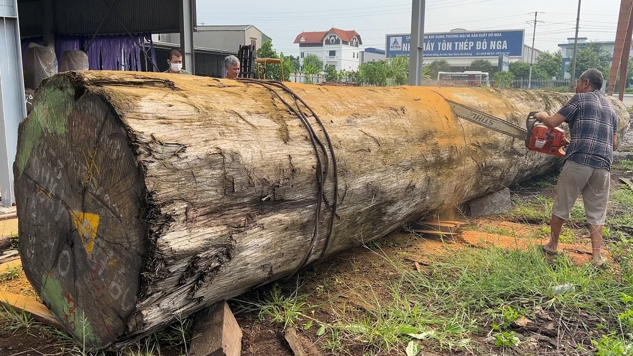 Amazing Dangerous Skills Giant Wood Cutting Fastest Sawn Wood In The