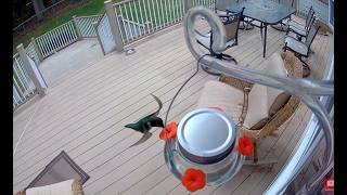 DEDICATION AROUND THE NATION 5.21.26 MEMORIAL DAY Episode / USS BOWFIN / HUMMINGBIRD VIDEO / PJ BDAY