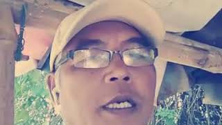 Download Lagu Surup surup MP3