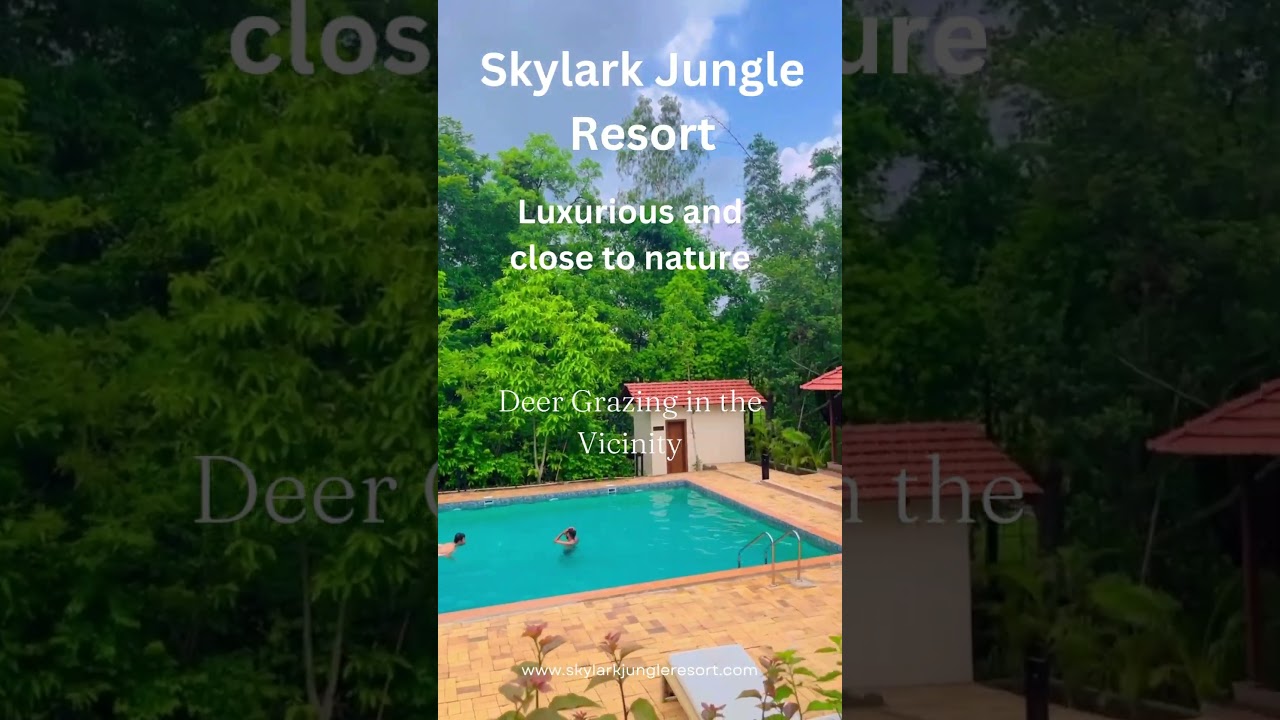 Skylark Jungle Resort