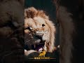 لا يسقط العظماء الا ب الخيانه 