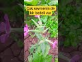 Çok sevmenin de bir bedeli var#youtube #sevgi #öneçıkar #keşfet