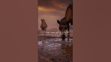فِي جَنَّةٍ عَالِيَةٍ  لَا تَسْمَعُ فِيهَا لَاغِيَةً فِيهَا عَيْنٌ جَارِيَةٌ﴾القارئ عبد ألرحمن مسعد