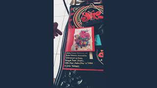 Review Album 24 SLANK