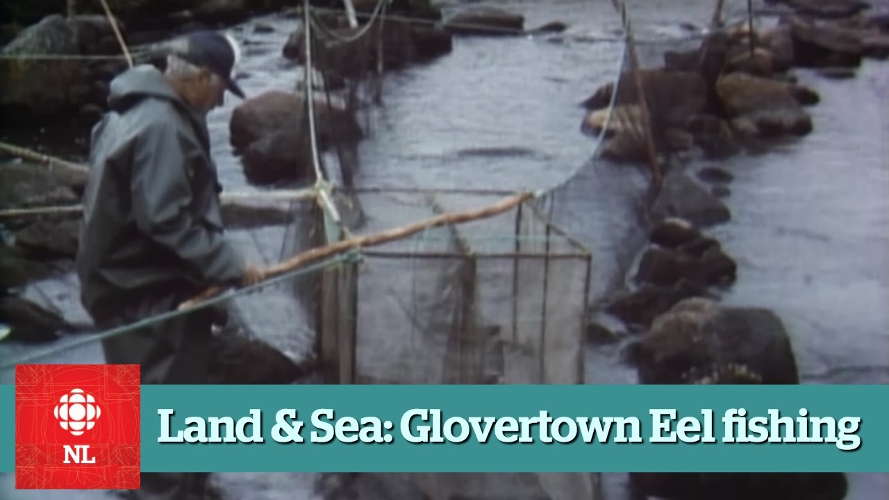 Land & Sea Eel Fishing near Glovertown Full Episide YouTube