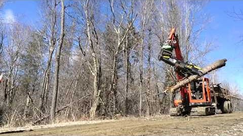 TMK Tree Shear With HKS Tilt-rotator ON Kubota 080
