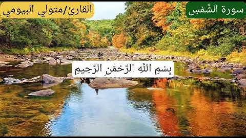 سورة الشمس القارئ متولي البيومي