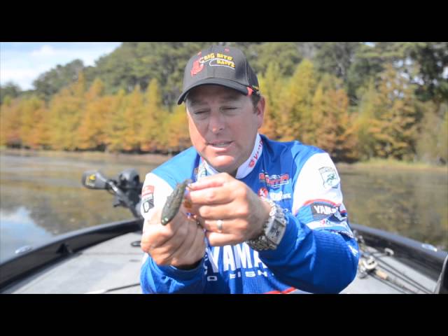 Pro Angler Dean Rojas introduces the Big Bite 5.25 Fighting Frog 