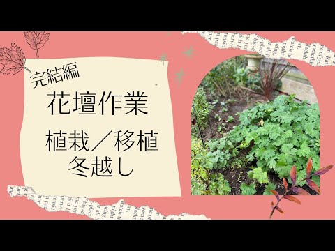 【庭師直伝】秋の庭準備で春の効果を10倍にする方法