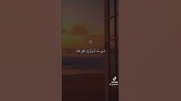 جزء 38 | سورة القصص # تلاوة خاشعة للشيخ ريان المحيسني quran_alkarim# القرآن الكريم explore #fyp