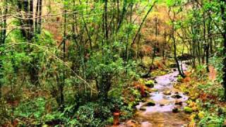 A FRAGA - MEIRA - MOAÑA