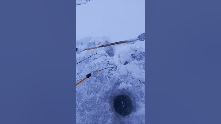 Как клюёт ХАРИУС!!!