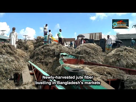 Jute News Bangladesh