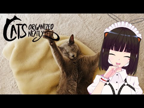 【Cats Organized Neatly】やるぜやるぜやるぜやるぜ【復帰配信】