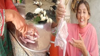 Hamein Apni Murgi Ko Zibah Karne Par A Jannat Pets Valley