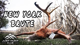 Bowhunting The Rut in New York (We Pulled a Crazy Move To Get This Big Buck)