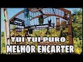MELHOR CANTO DO PAPA CAPIM TUI TUI / P ENSINAR FILHOTES